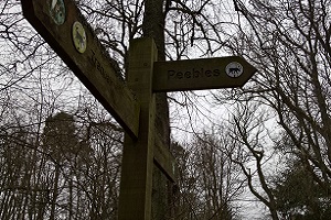 drove sign