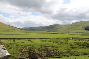 dryhope north