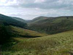 moffat hills